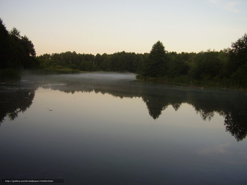 Misty Lake at Dawn — Blue, Serene, Morning, Photograph, Trees