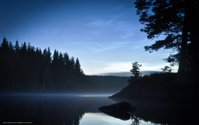 Misty Lake at Dawn — Blue, Serene, Photograph