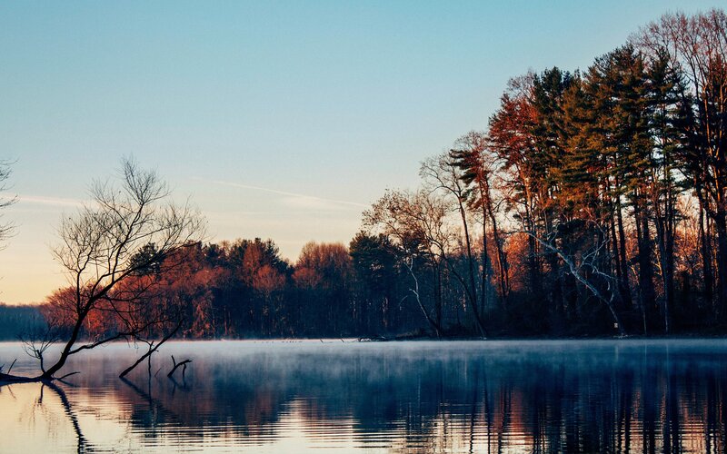 Misty Lake at Dawn — Blue, Serene, Photograph, Trees, Fog, Sky, Reflection