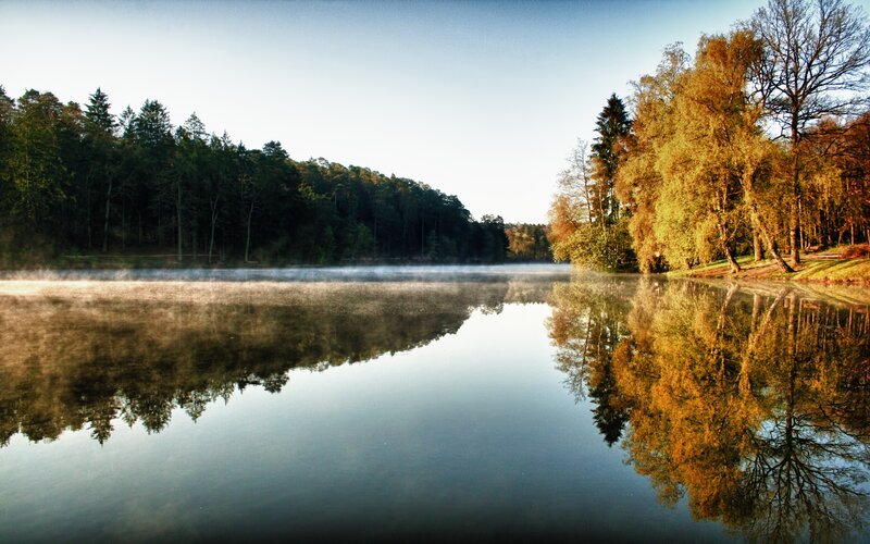 Misty Lake at Dawn — Blue, Serene