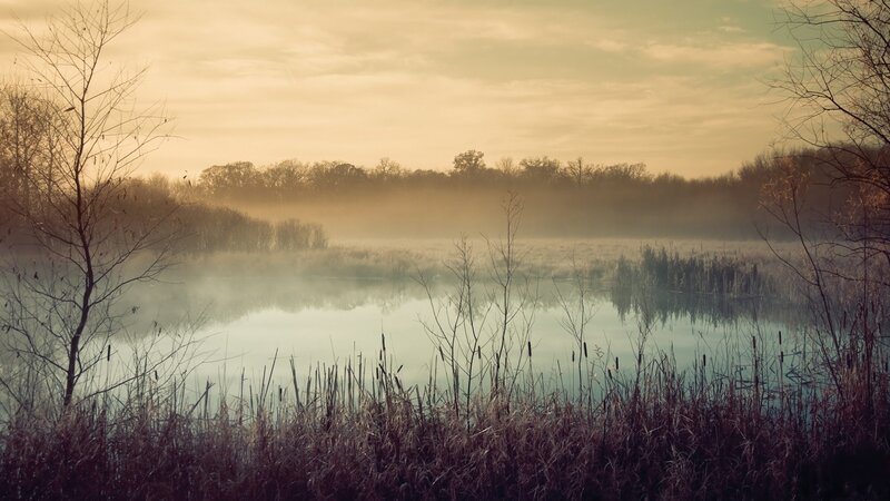 Misty Lake at Dawn — Brown, Serene, Morning