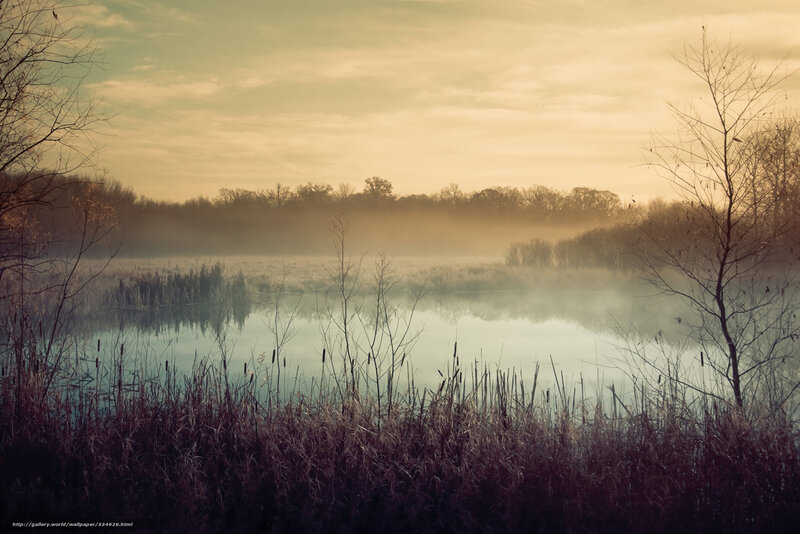 Misty Lake at Dawn — Brown, Serene