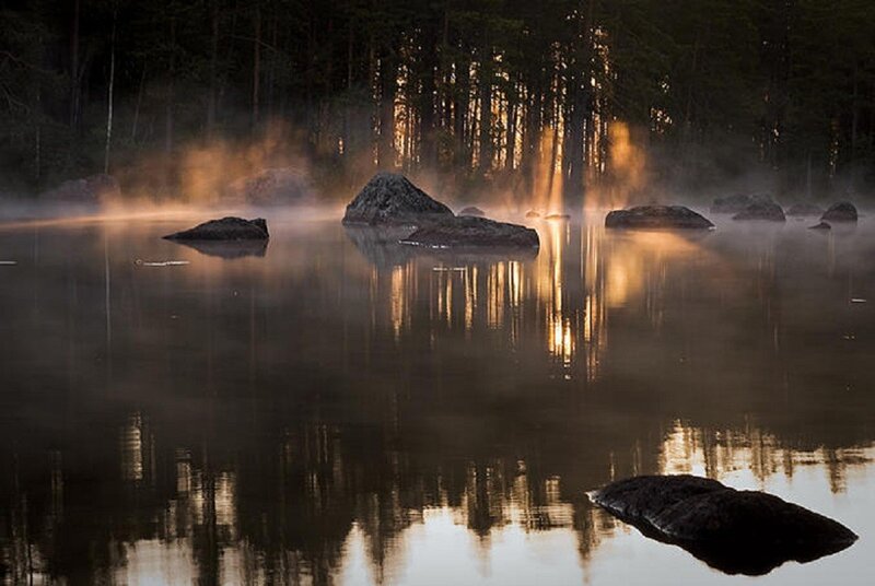 Misty Lake at Dawn — Brown