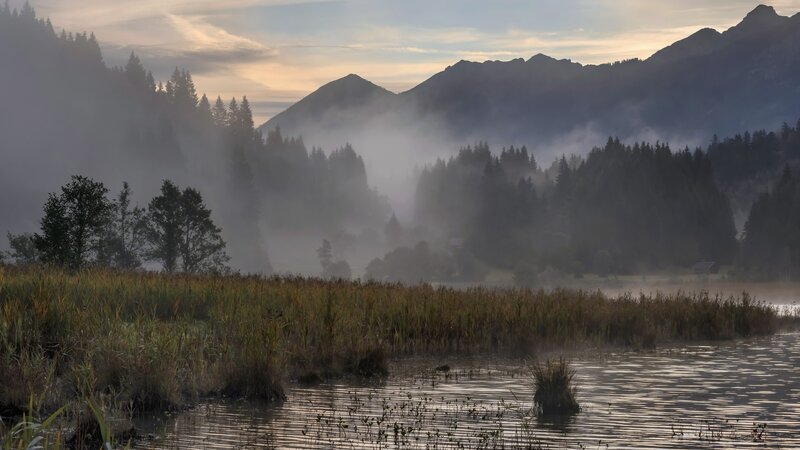 Misty Lake at Dawn — Gray, Serene, Morning, Photograph, Mountains