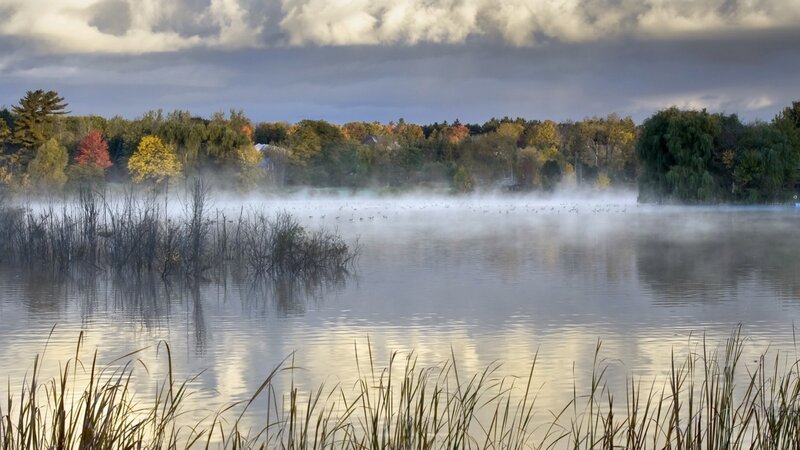 Misty Lake at Dawn — Gray, Serene, Morning, Photograph, Trees