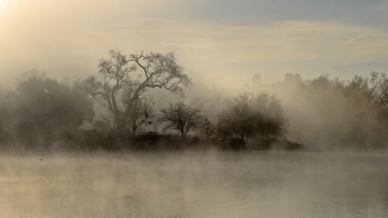 Misty Lake at Dawn — Gray, Serene, Morning