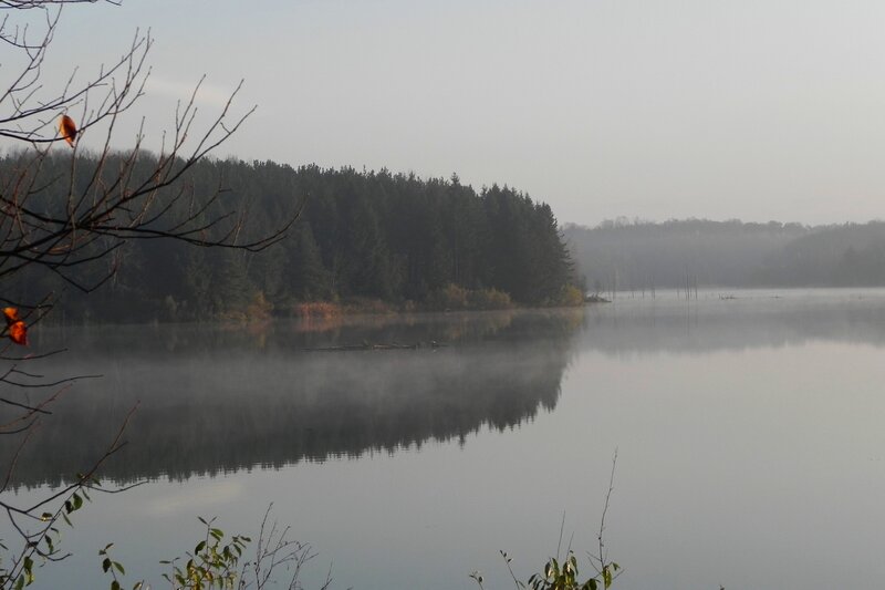 Misty Lake at Dawn — Gray, Serene