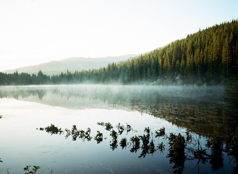 Misty Lake at Dawn — Green, Serene, Morning, Photograph, Forest, Mountains
