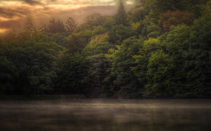 Misty Lake at Dawn — Green, Serene, Morning, Photograph, Forest