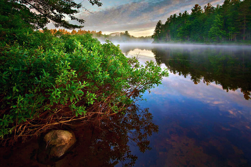 Misty Lake at Dawn — Green, Serene, Morning, Photograph