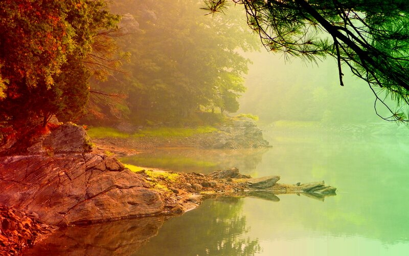 Misty Lake at Dawn — Green, Serene, Morning, Photograph, Trees, Rocks