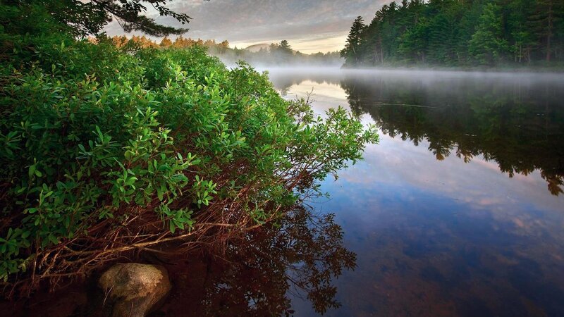 Misty Lake at Dawn — Green, Serene, Morning, Photograph, Trees
