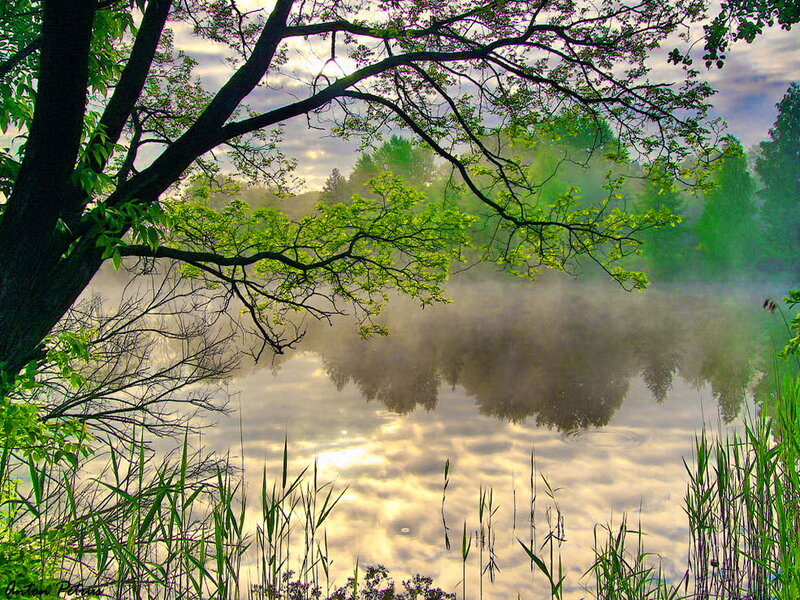 Misty Lake at Dawn — Green, Serene