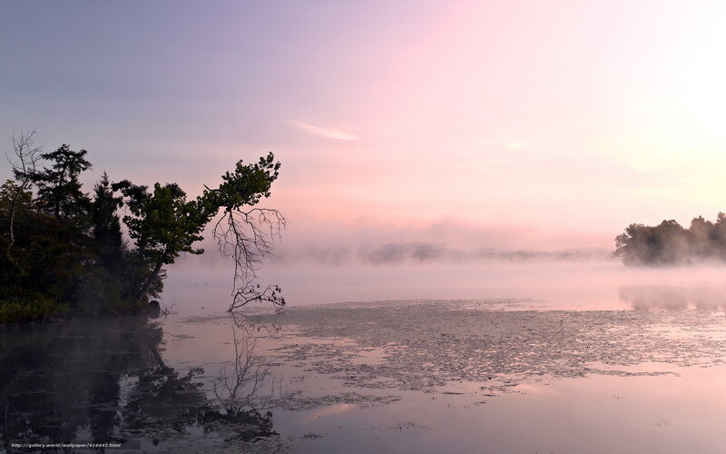 Misty Lake at Dawn — Pink, Serene, Sunrise, Photograph