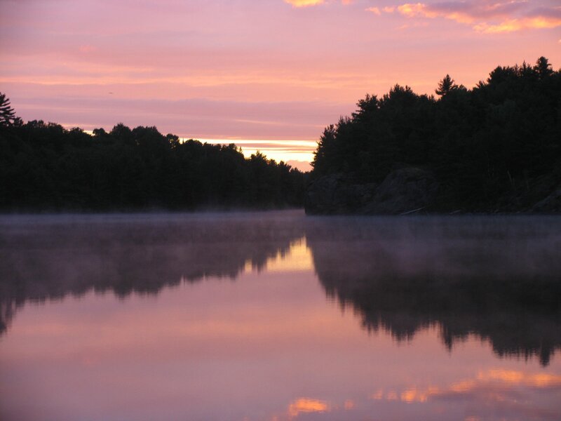 Misty Lake at Dawn — Pink, Serene, Sunrise, Photograph, Trees