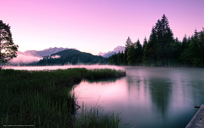 Misty Lake at Dawn — Pink, Serene, Sunrise