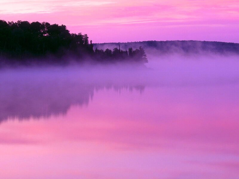 Misty Lake at Dawn — Pink, Serene