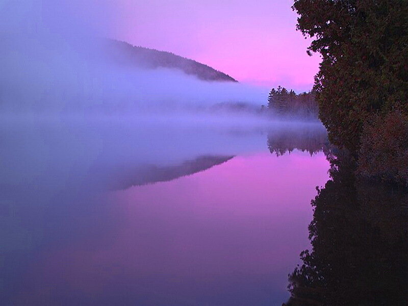 Misty Lake at Dawn — Purple, Serene