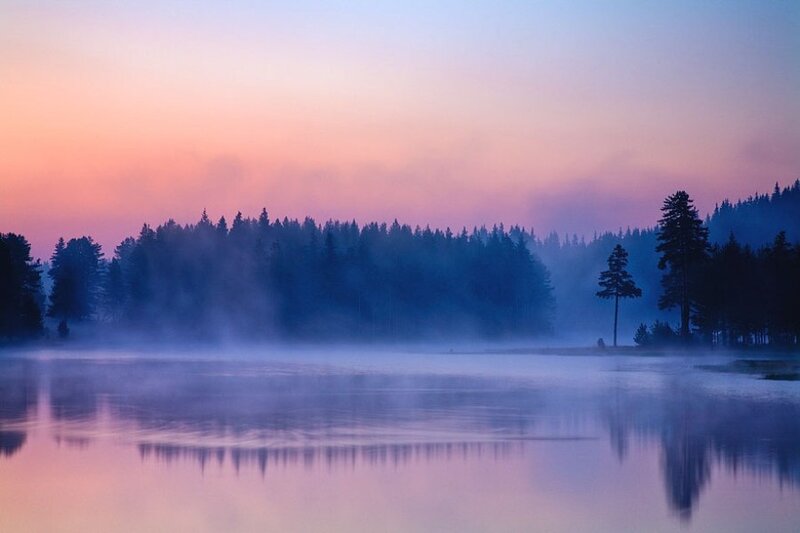 Misty Lake at Dawn — Purple