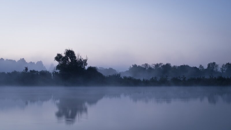 Misty Lake at Dawn — Serene