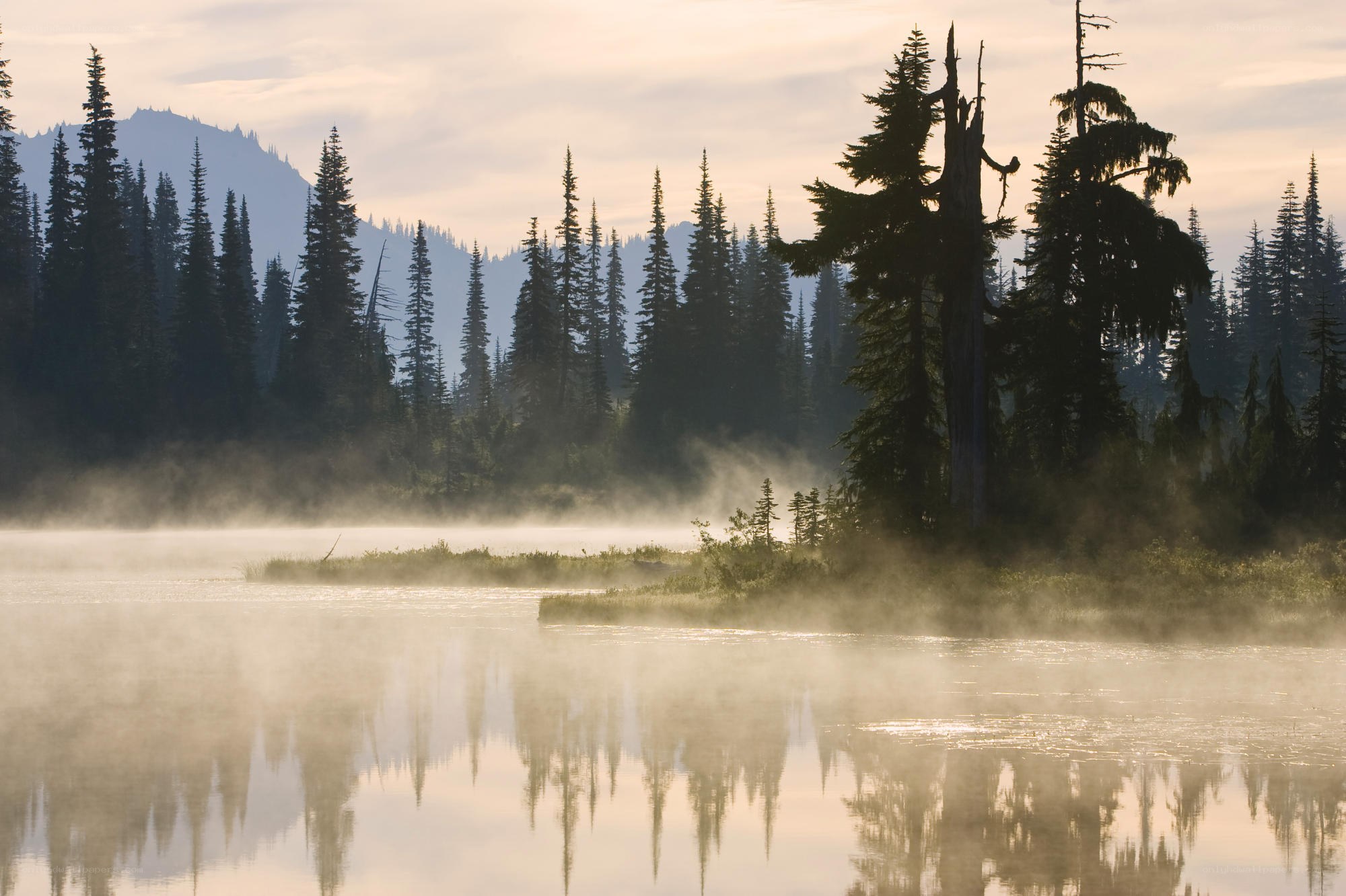 Misty lake at dawn with forest