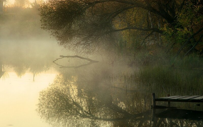 Misty Lake at Dawn — Yellow, Serene