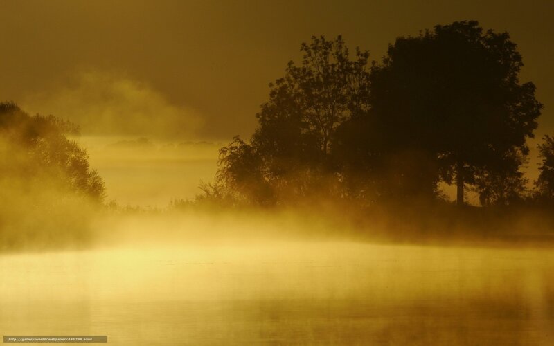 Misty Lake at Dawn — Yellow