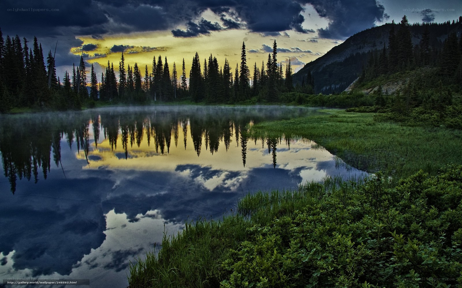 Misty lake at dusk