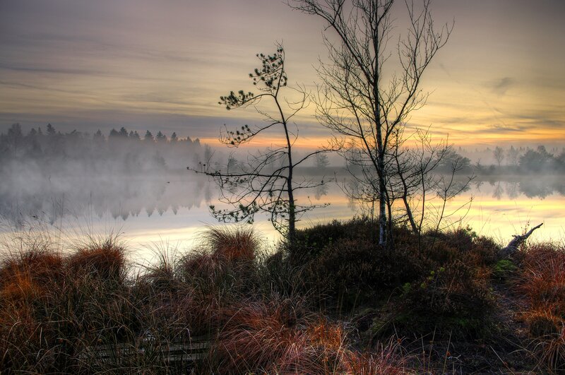 Misty lake at sunrise
