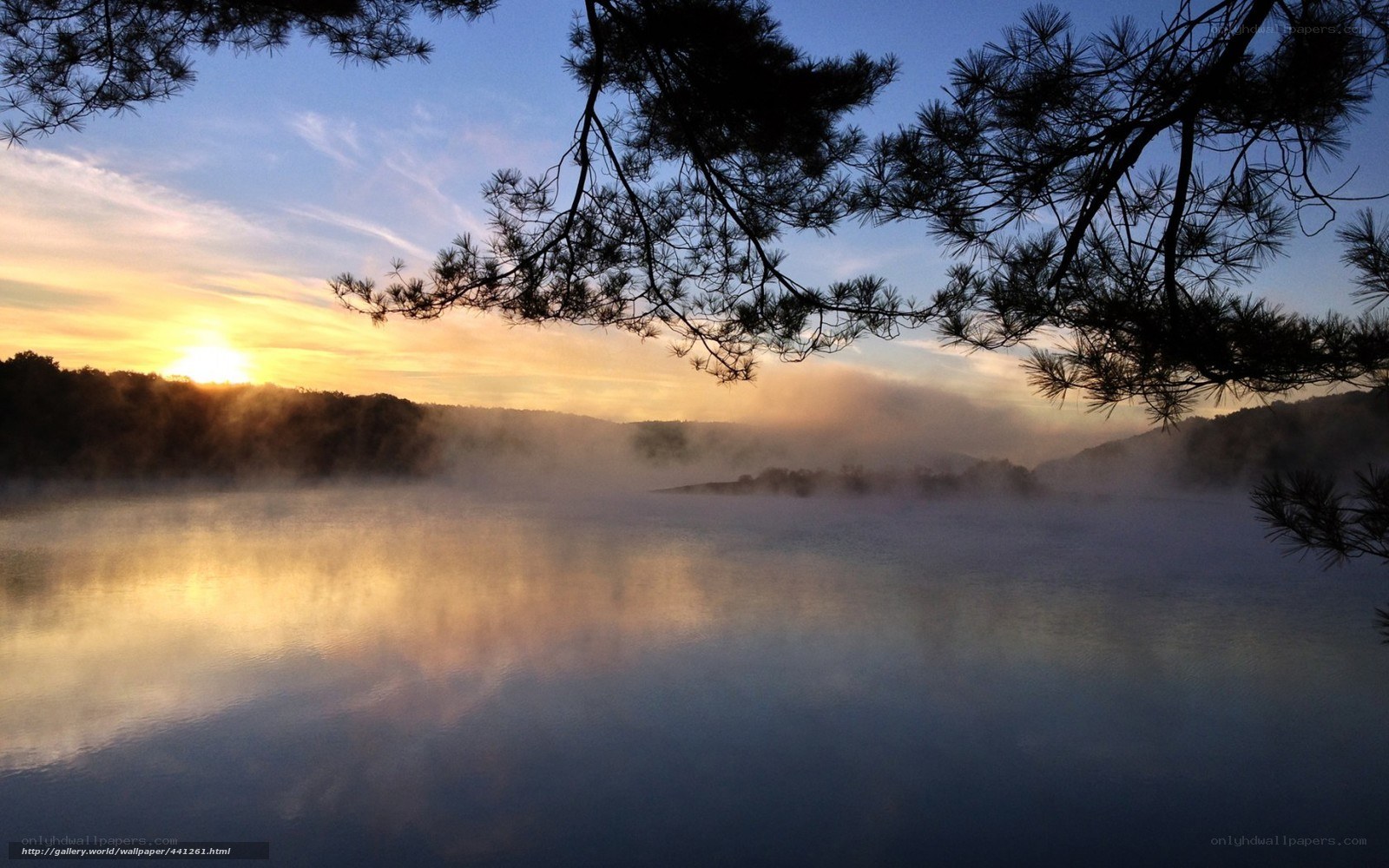 Misty lake at sunrise