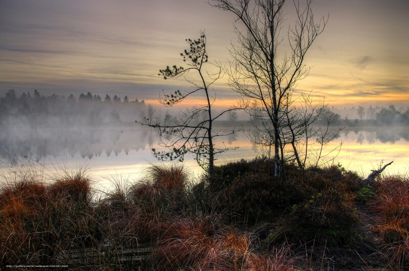 Misty lake at sunrise