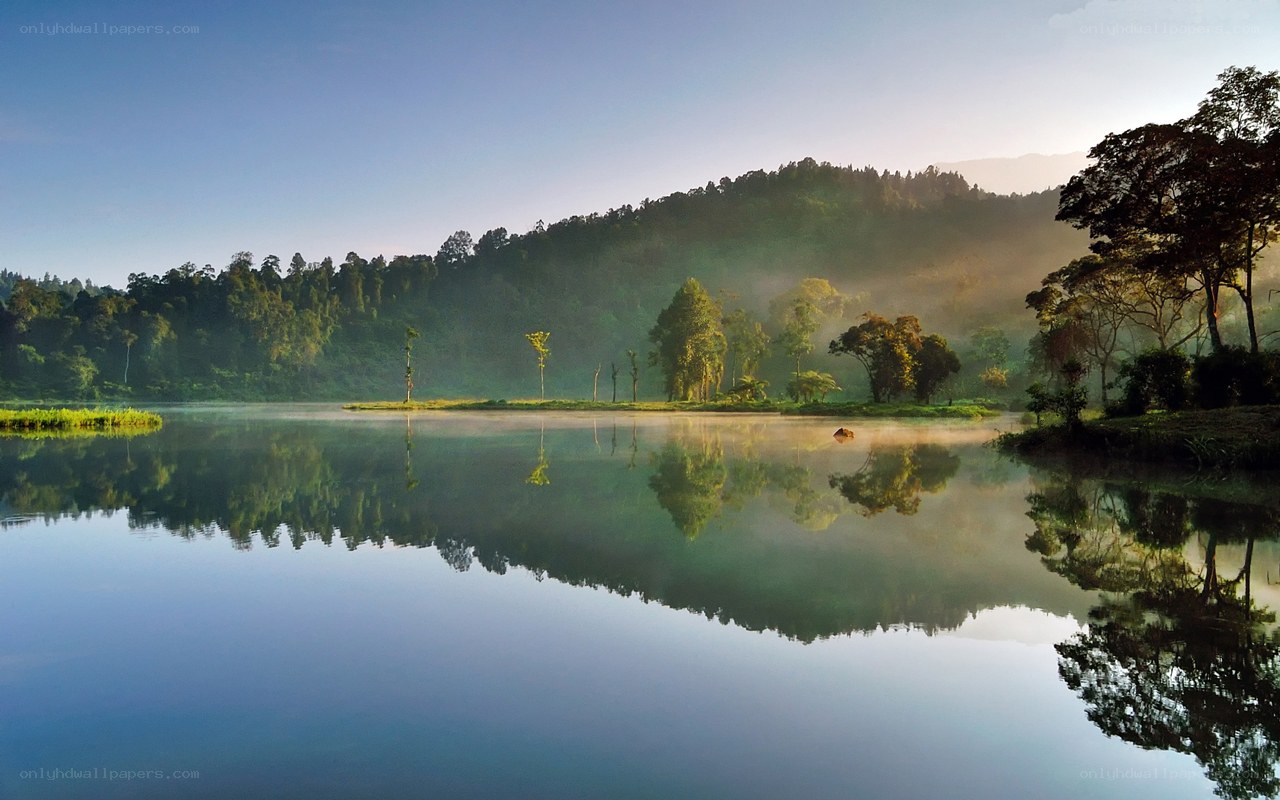 Misty lake at sunrise