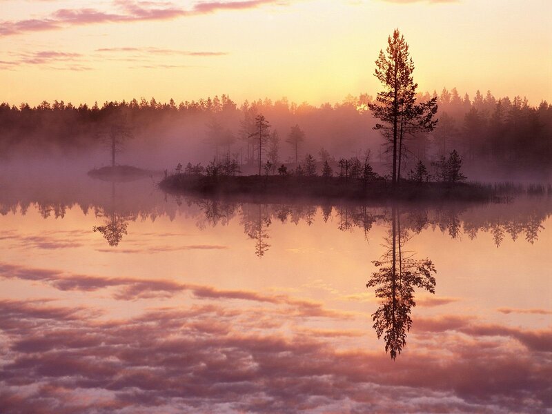 Misty lake at sunrise