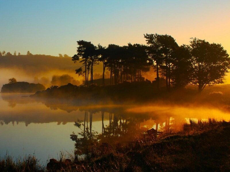 Misty lake at sunrise