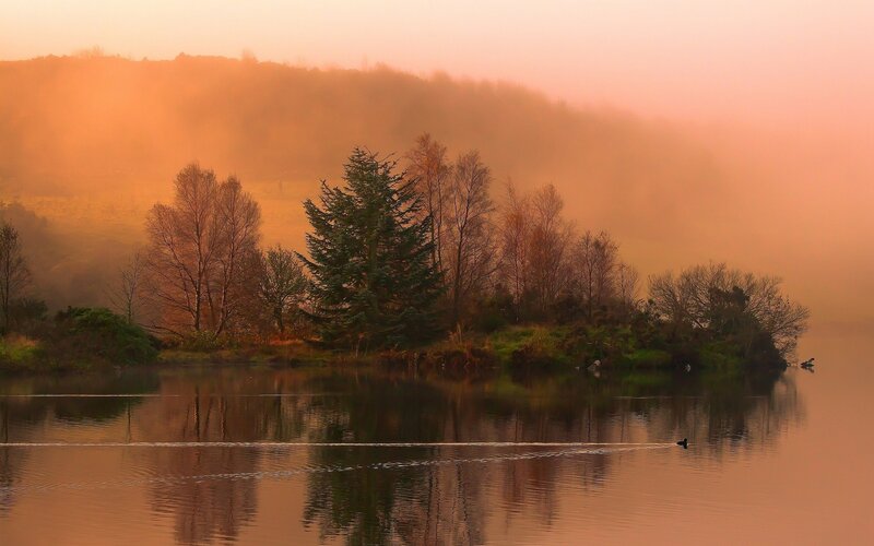 Misty lake at sunrise