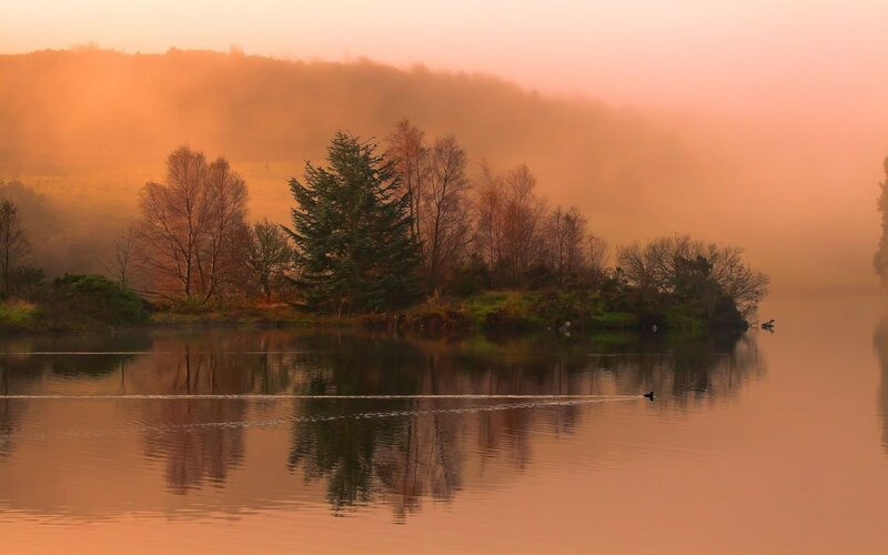 Misty lake at sunrise