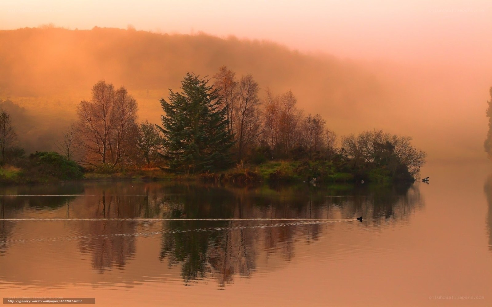 Misty lake at sunrise