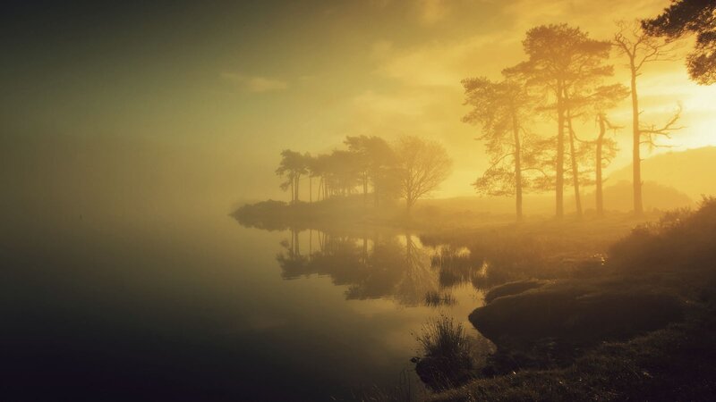 Misty lake at sunrise