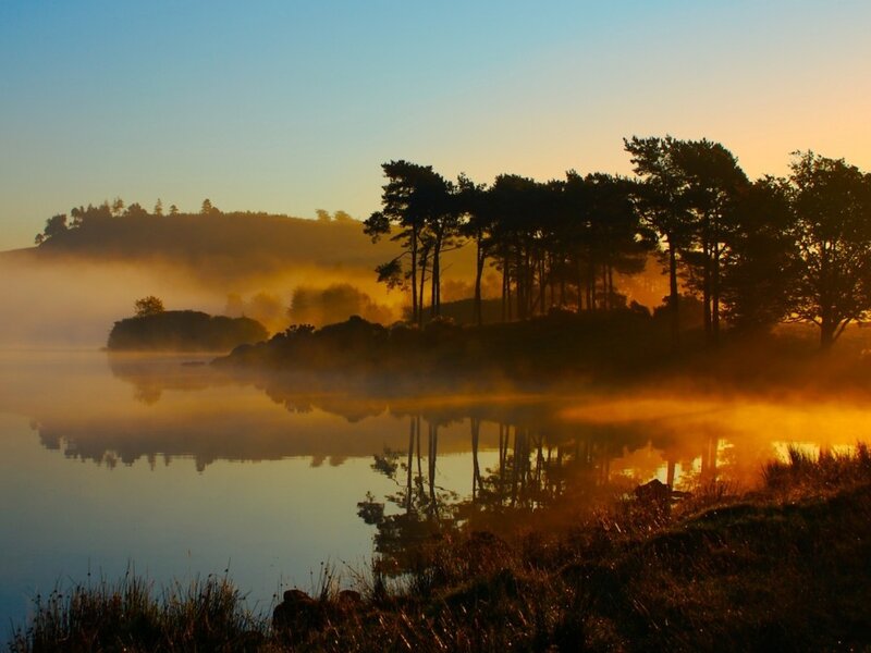 Misty lake at sunrise