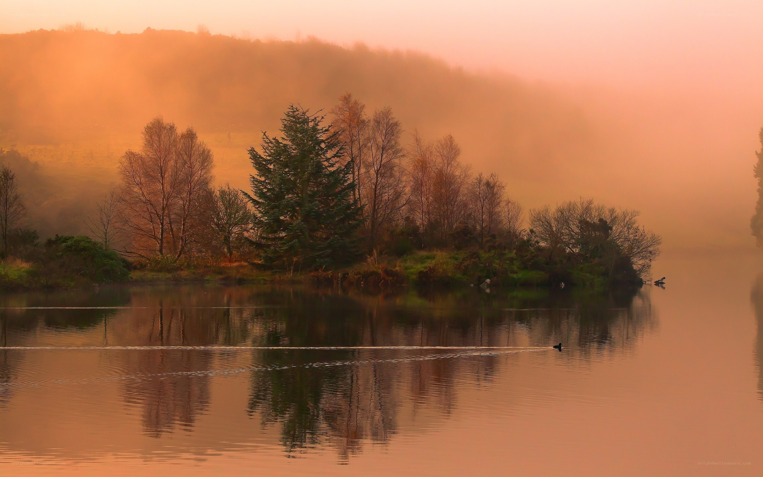 Misty lake at sunrise
