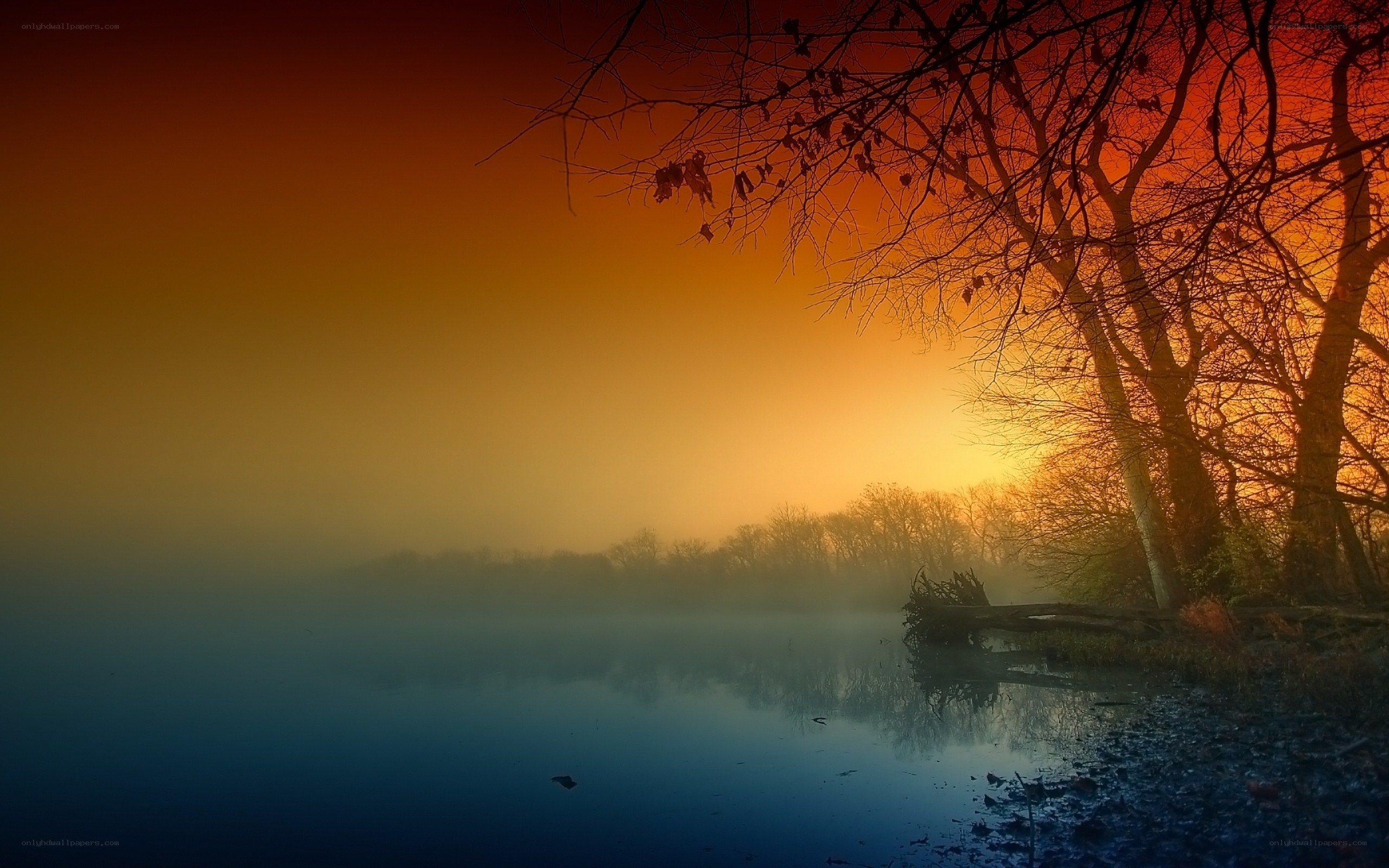 Misty lake at sunrise