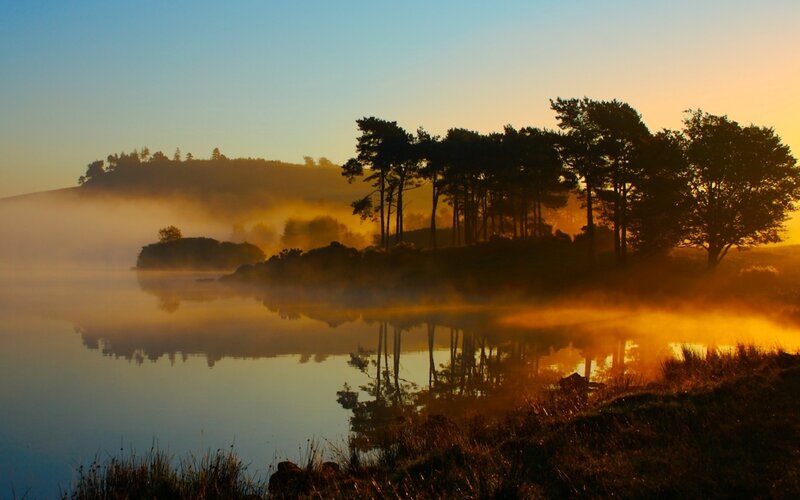 Misty Lake at Sunrise — Blue, Serene, Photograph, Trees, Fog, Reflection, Yellow