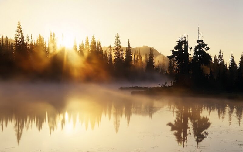 Misty Lake at Sunrise — Gold, Serene, Photograph, Trees, Mountain, Sunlight