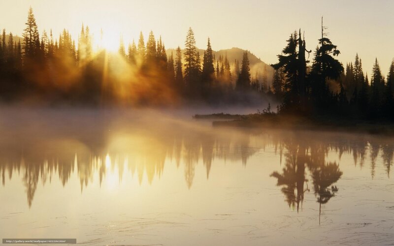 Misty Lake at Sunrise — Gold, Serene, Photograph, Trees, Mountain