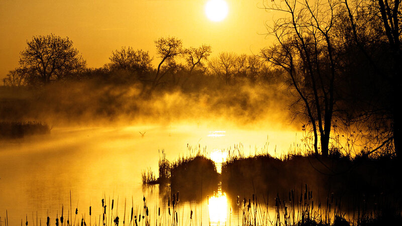 Misty Lake at Sunrise — Gold, Serene