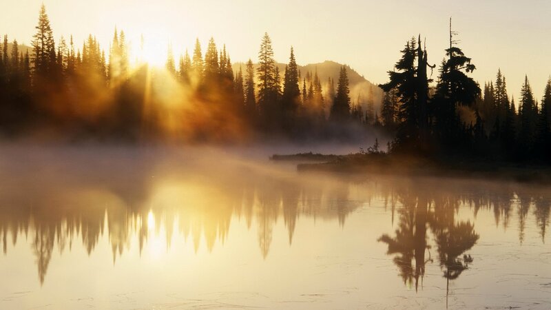 Misty Lake at Sunrise — Gold