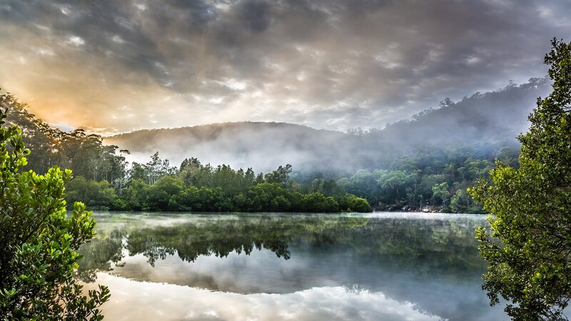 Misty Lake at Sunrise — Green, Serene, Photograph, Trees, Mountain