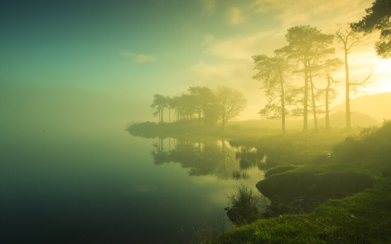 Misty Lake at Sunrise — Green, Serene