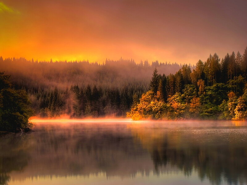 Misty Lake at Sunrise — Orange, Serene, Photograph, Forest