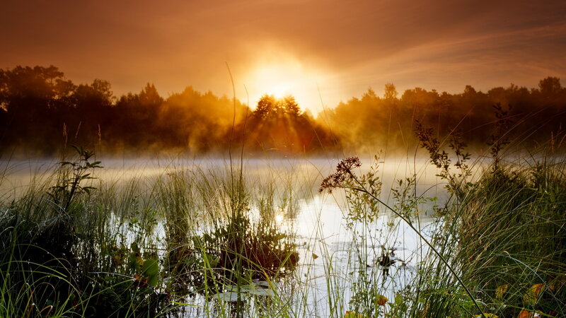 Misty Lake at Sunrise — Orange, Serene, Photograph, Trees, Grass